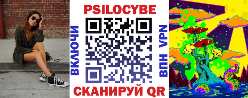 KRAKEN маркетплейс  Шумиха  Галлюциногенные грибы Psilocybe 