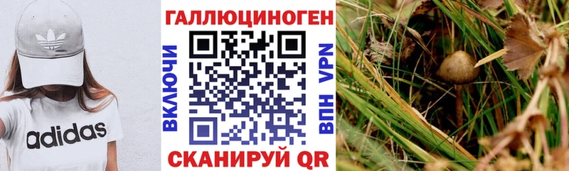 Галлюциногенные грибы MAGIC MUSHROOMS Шумиха